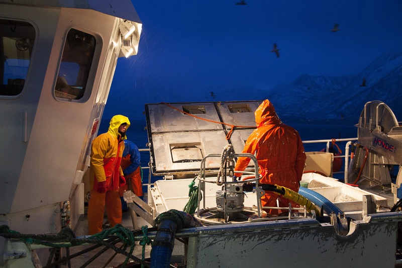 fisheries Lofoten